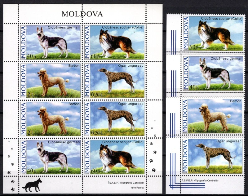 0565-0568 + ZDB
