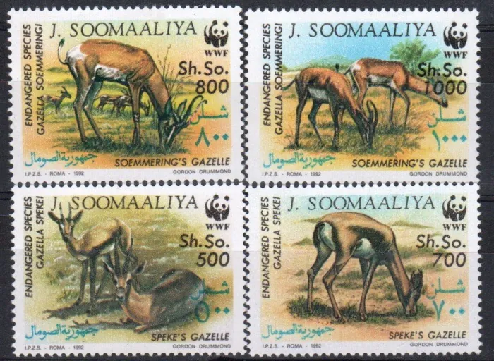 0444-0447 Fauna