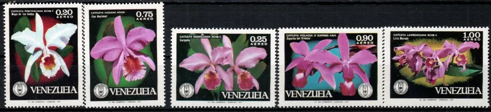 1879-1883 Flora