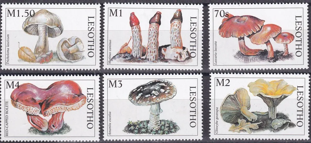 1300-01305