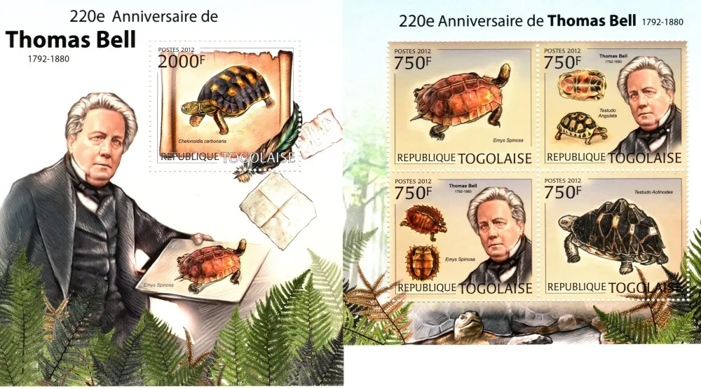 4503-4506 BL 717 Fauna