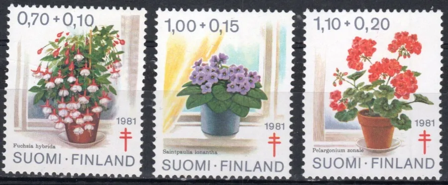 0885-887