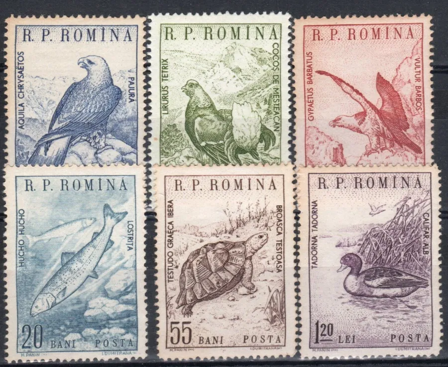 1833-1838 Fauna