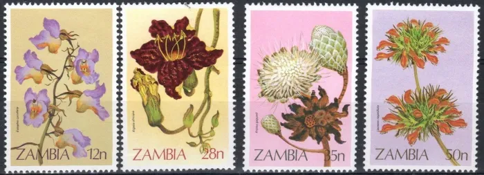 0290-293