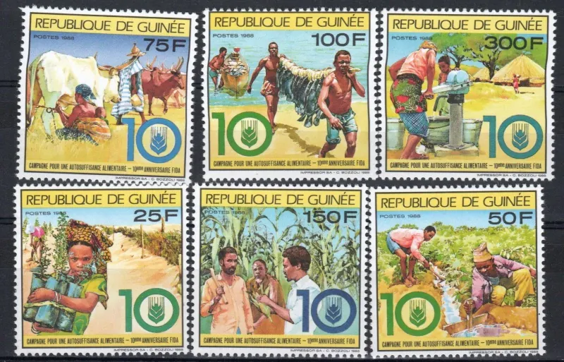 01243-01248