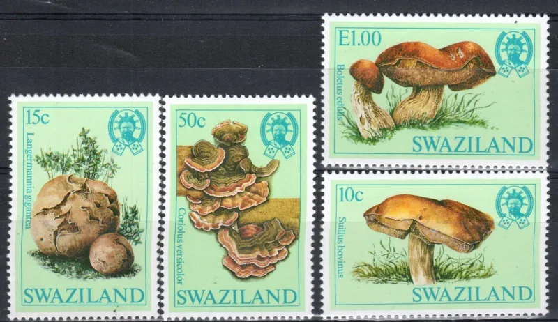 0425-428