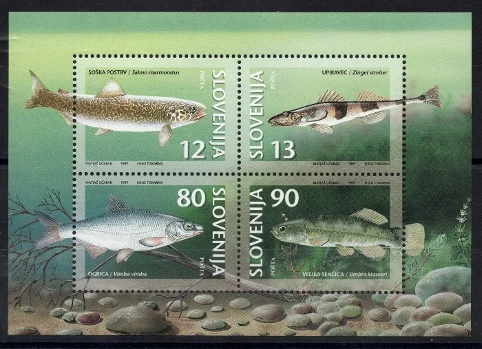 0182-185/ BL 4