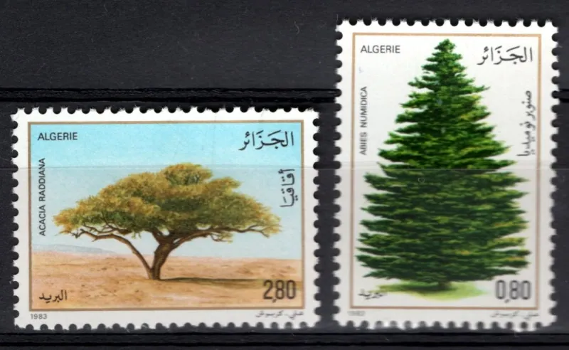 0819-0820