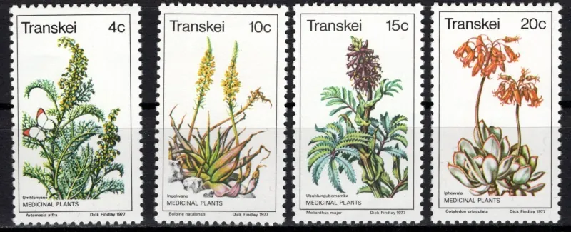 0024-0027