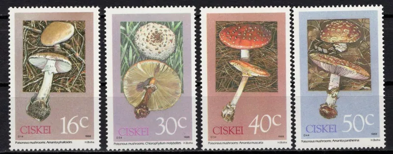 0145-0148