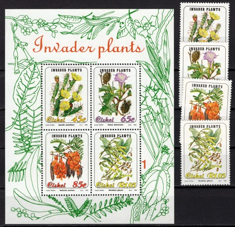 0242-0245+BL 9
