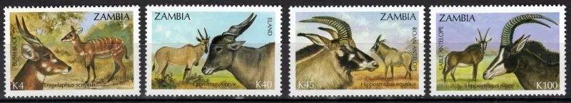 0603-0606 Fauna