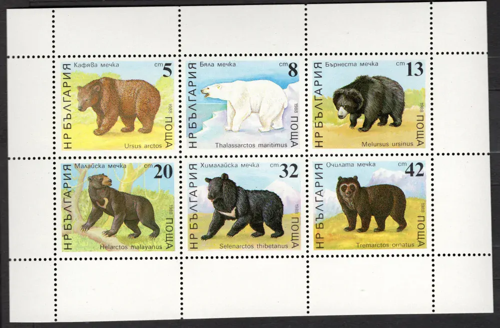 3703-3708 Fauna
