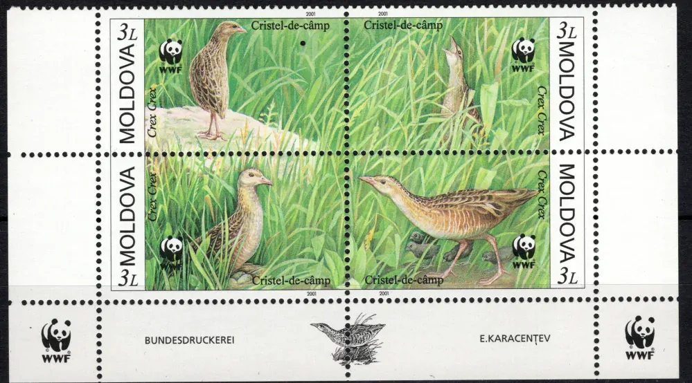 0379-0382 Fauna