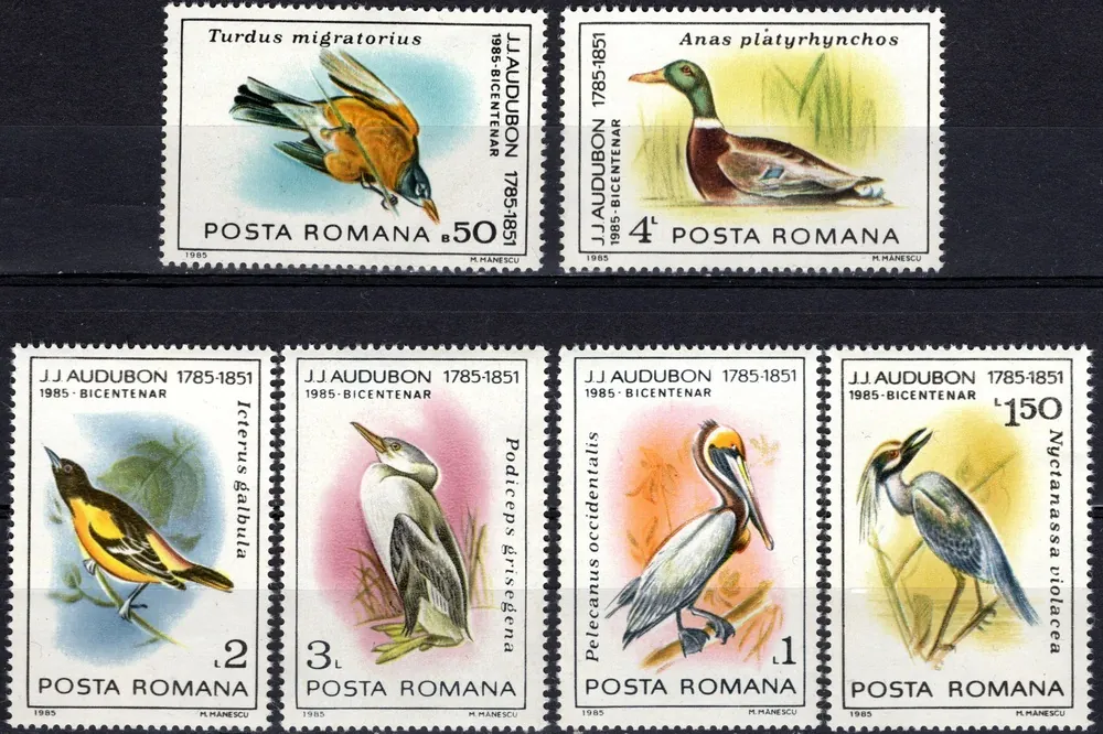 4149-4154 Fauna