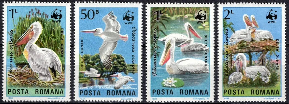 4104-4107 Fauna