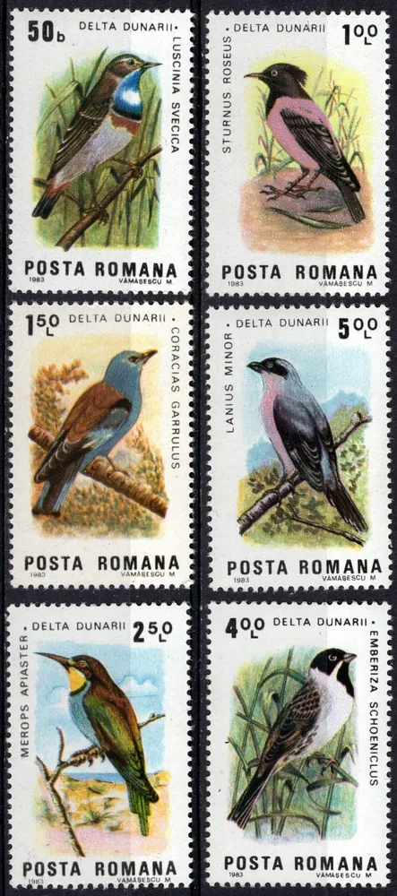 3966-3971 Fauna