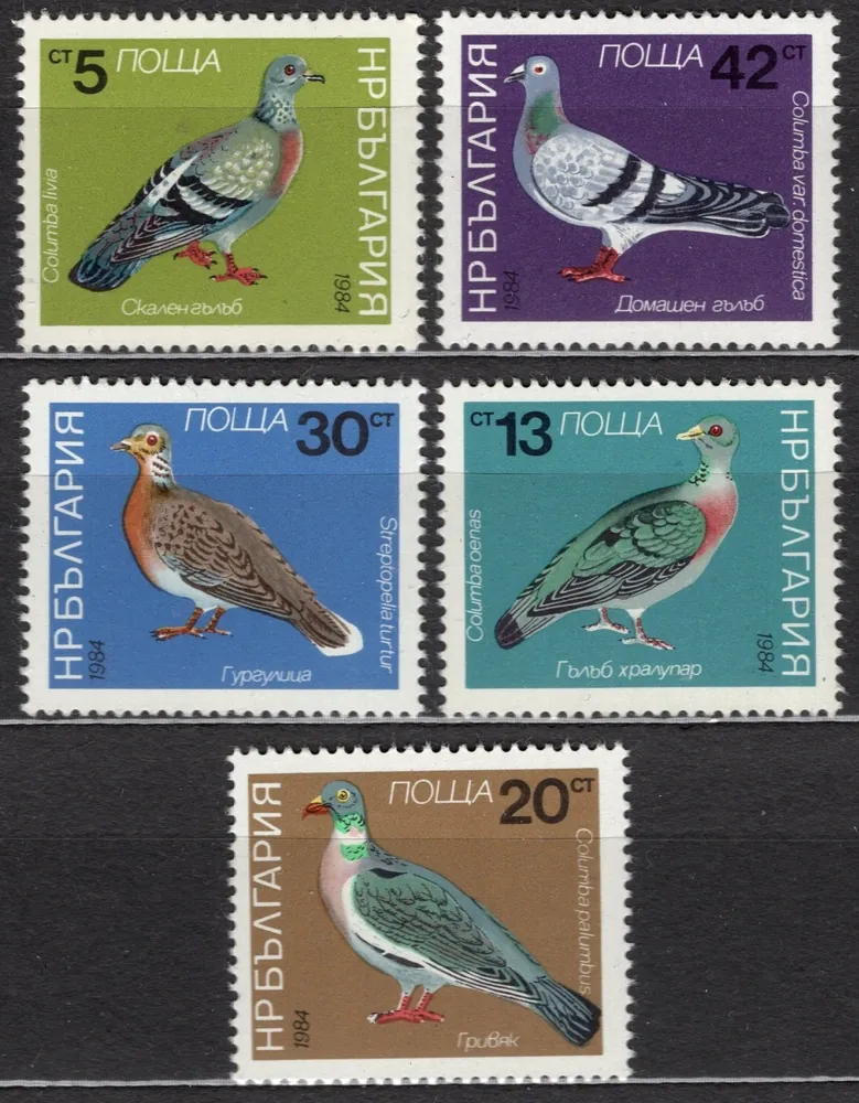 3273-3277 Fauna