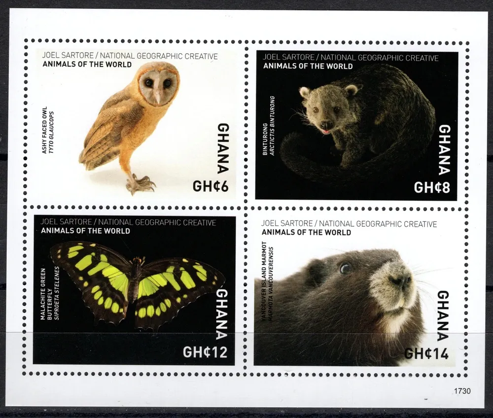 4863-4866 Fauna