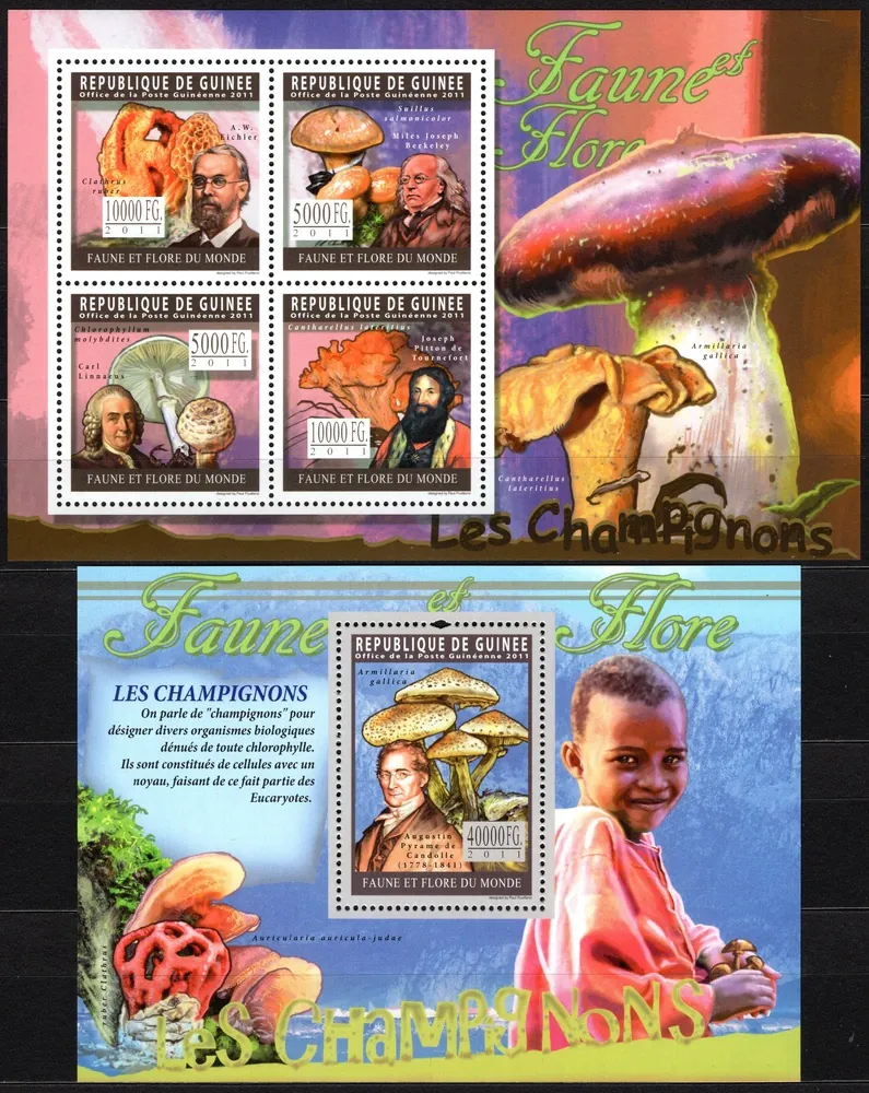 08269-08272 + BL1935 Flóra