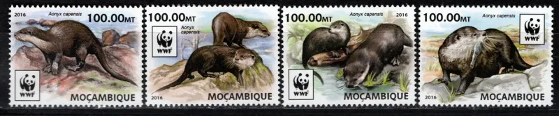 8884-8887 Fauna