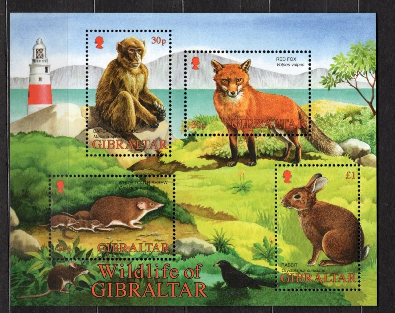 1010-1013 BL 51 Fauna