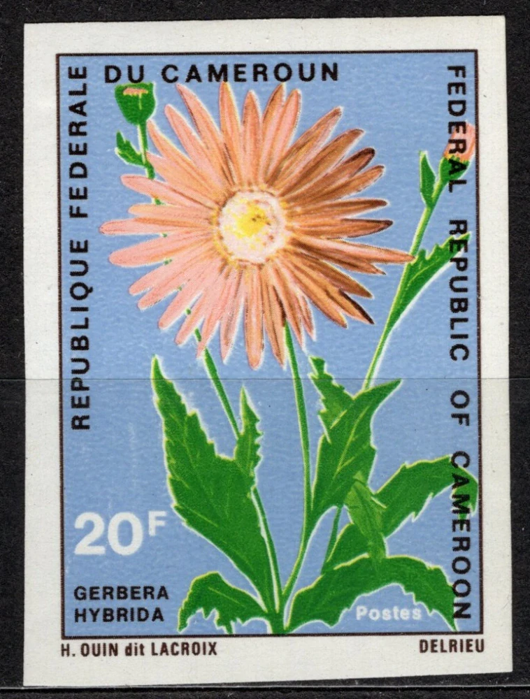 0645 B Flóra