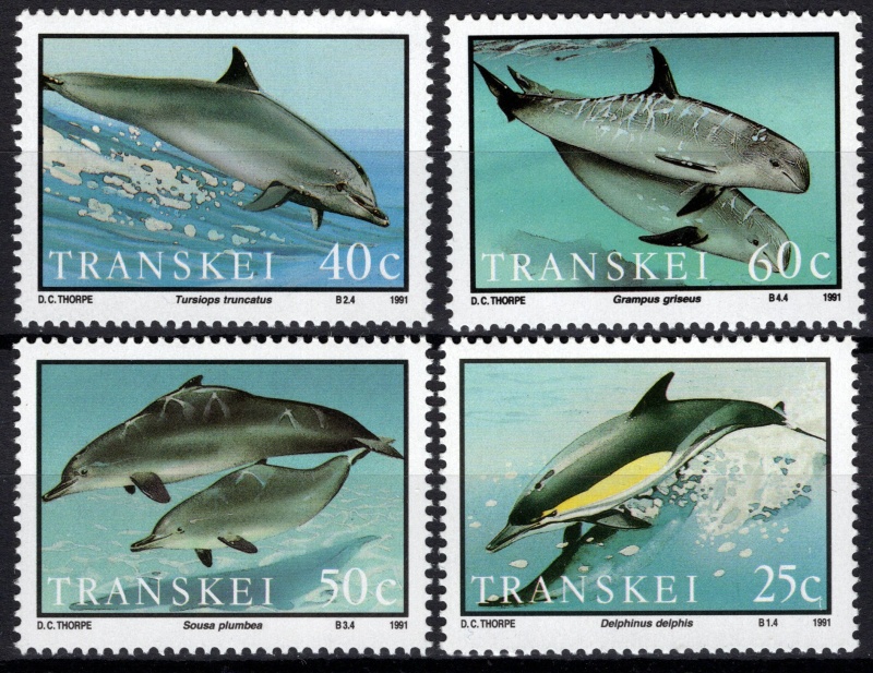 0267-0270 Fauna
