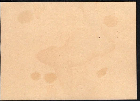 CDV 04/27