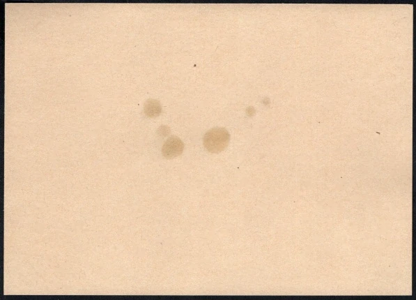 CDV 04/34