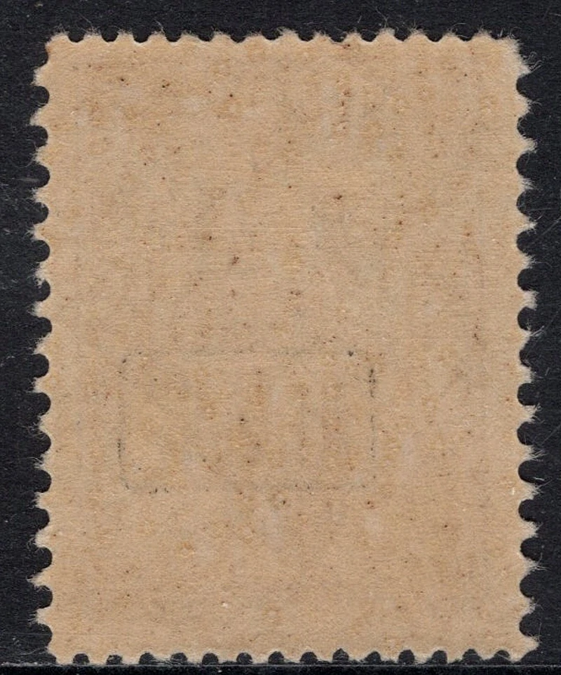 03 X