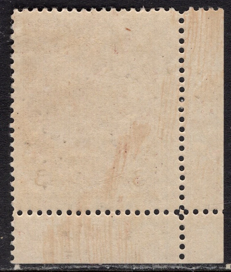 246 DZ 1