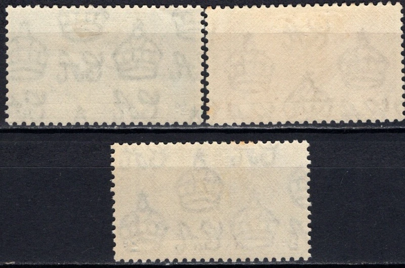0049-0051*