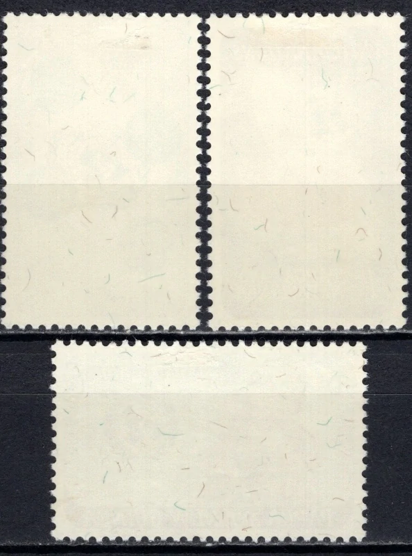 0080-0082*