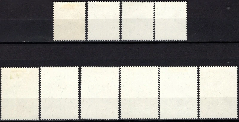 0062-0072* Vtáky