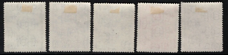 0538-0542*Šport