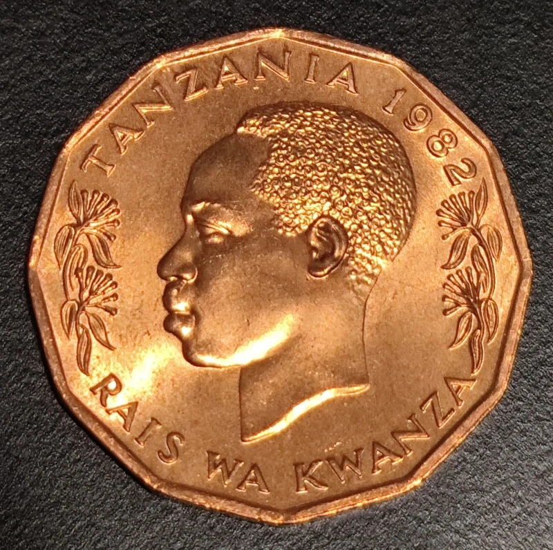 5 Senti 1982