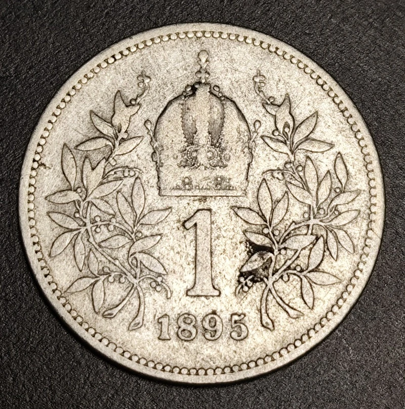 1 Koruna 1895
