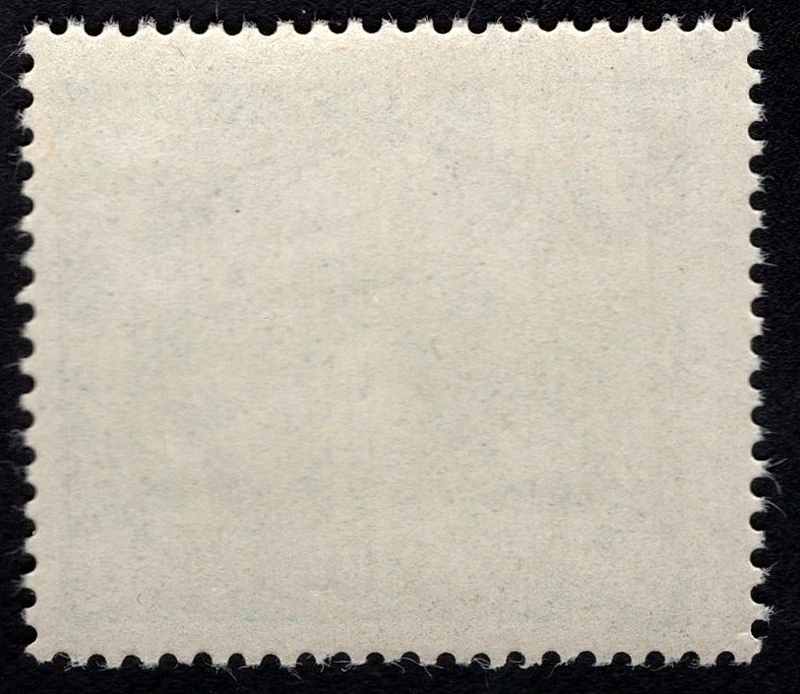 008 C**
