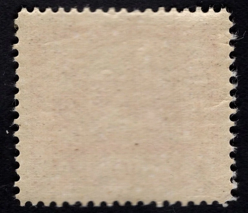 005 D