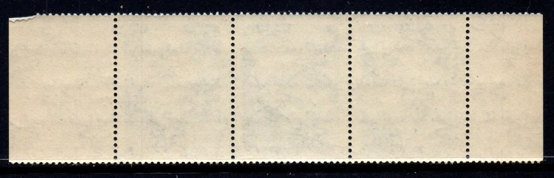 119 DV 7