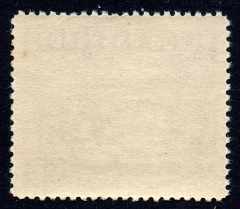 037 V.V.