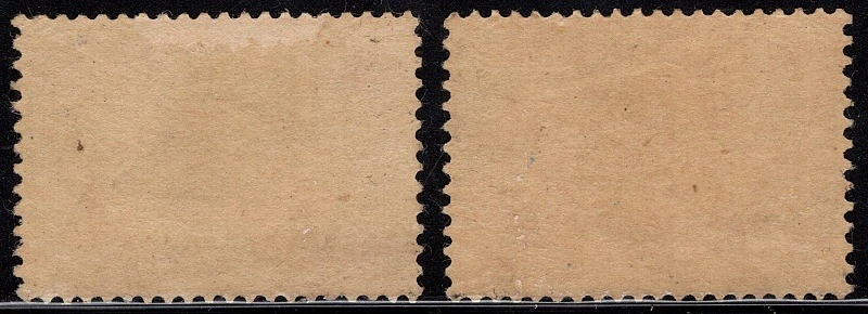 0005-0006 *