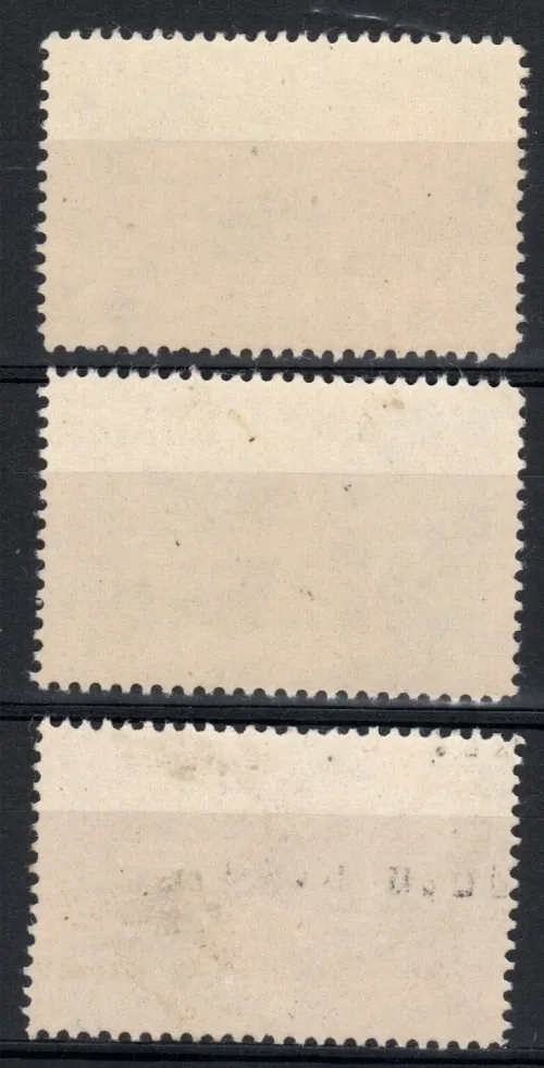 0019-0021