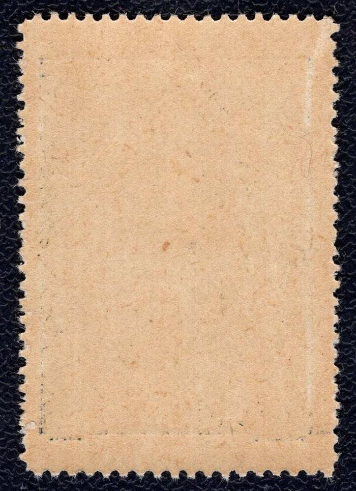 141