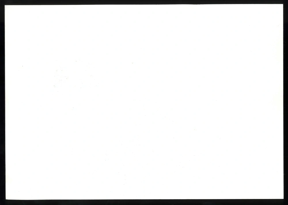 NL-273-274