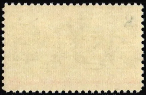 1107dvl