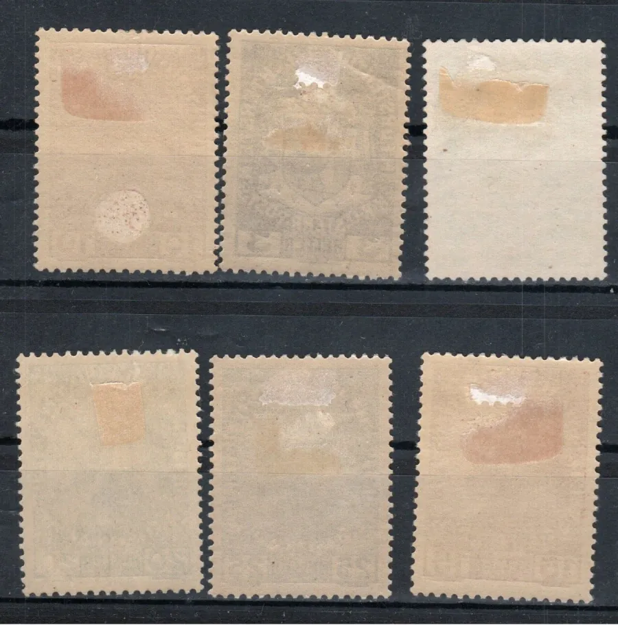 0004-0009 *