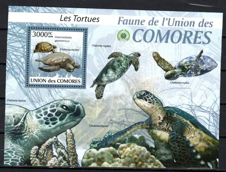 2340-2344+ BL 512 Fauna