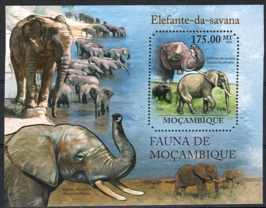 4987-4992 + BL 515  Fauna
